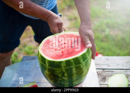 Die Hand eines Wassermelonenmanns auf einem Holztisch zu schneiden. Männerhände beim Schneiden von Wassermelone im Sommer an einem sonnigen Tag. Stockfoto