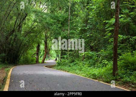 Erawan-Nationalpark, Kanchanburi, Thailand Stockfoto