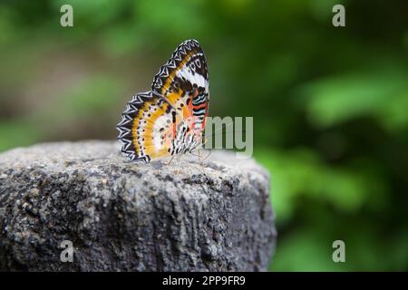 Erawan-Nationalpark, Kanchanburi, Thailand Stockfoto