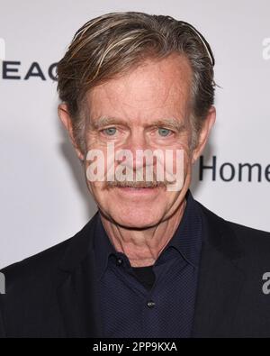 22. April 2023, Beverly Hills, Kalifornien, USA: William H. Macy besucht die Hollywood Gala Obdachlose nicht Zahnlose 2023. (Kreditbild: © Billy Bennight/ZUMA Press Wire) NUR REDAKTIONELLE VERWENDUNG! Nicht für den kommerziellen GEBRAUCH! Stockfoto