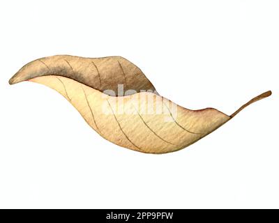 Aquarell-Vektor-Herbstset. Dekorationen mit Waldblättern und Pilzen. Stock Vektor