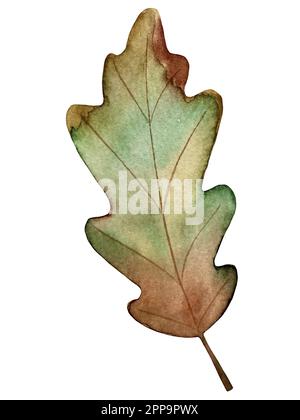 Aquarell-Vektor-Herbstset. Dekorationen mit Waldblättern und Pilzen. Stock Vektor