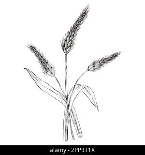 Digital gezeichnete Konturen von Bäckereiabbildungen. Dekoration für Bäckerei oder Logo. Stock Vektor