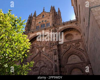 Eine Aufnahme der großen Neuen Kathedrale von Salamanca, Spanien, mit beeindruckender Architektur und komplexen Details Stockfoto