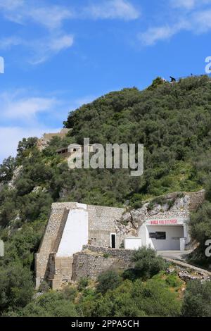 Eintritt zu den Tunneln des Zweiten Weltkriegs, von der maurischen Burg, Gibraltar, British Overseas Territory, Großbritannien, Mittelmeer, Europa Stockfoto