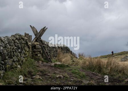 Holzstiel auf einem Fußweg in der Nähe der Sycamore Gap Stockfoto