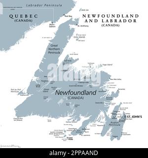 Insel Neufundland, graue politische Karte. Teil der kanadischen Provinz Neufundland und Labrador mit der Hauptstadt St. Johns.