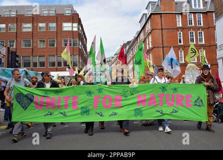 Extinction Rebellion marschiert auf Westminster, Central London. Welttag Der Erde. 22. April 2023 Stockfoto