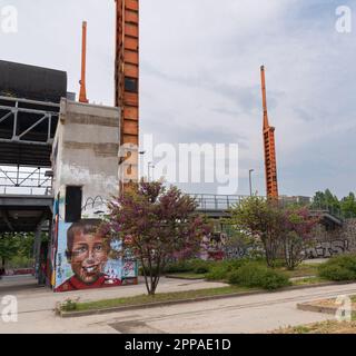 Turin -- Parco Dora im urbex-Kontext mit Wandgemälden und Kirschbaum Stockfoto