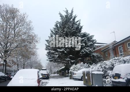 Eine verschneite Straßenszene in Cricklewood, North London, mit einer Vielzahl von Bäumen, Häusern, Autos und Mülltonnen. Aufgenommen im Dezember 2022 Stockfoto