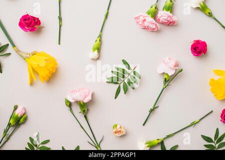 Nahaufnahme Nelken Rosen in der Nähe von Blättern Stockfoto