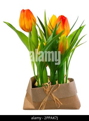 Spring deco mit künstlichen orange Tulpen isoliert auf weißem Stockfoto