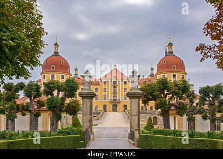 MORITZBURG, DEUTSCHLAND - 21. AUGUST: Schloss Moritzburg in Moritzburg, Germnay am 21. August 2018. Das barocke Schloss wurde im 16. Jahrhundert von erbaut Stockfoto