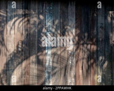 Alte alte Holzplanke im Hintergrund mit natürlichem Schatten im Sommer. Rustikale Holzpaneelwände im Schatten tropischer Palmenblätter. Palme hinterlässt Schatten o Stockfoto