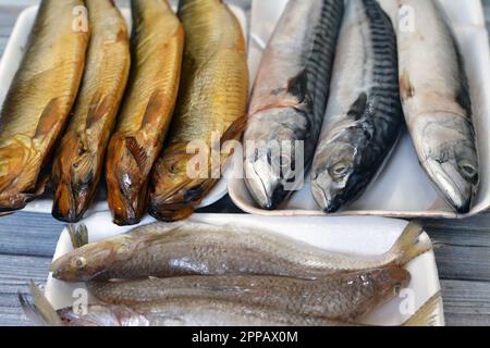 Verschiedene Arten roher Makrelenfische, Saurida undosquamis, Eidechsenbarsch, großmaßstäbliche Grinsen- oder Larscale-Saurenfische und geräucherte Salz Stockfoto