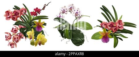 Aquarelle Orchideenstrauß. Realistische Phalaenopsis-, Cymbidium-, cumbrien- und Paphiopedilum-Blüten Stockfoto