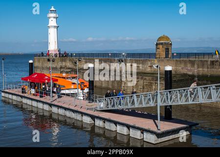 Passagiere, die aus dem Viking Cruises Tenderboot am Newhaven Harbour Pier, Edinburgh, Schottland, Großbritannien aussteigen Stockfoto