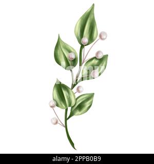 Eine elegante Zusammensetzung aus grünen Blättern und getrockneten dekorativen Blumen im Aquarellstil. Digitale Abbildung auf weißem Hintergrund. Für Einladungen, Stockfoto
