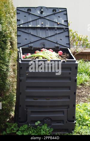 Gefüllter Thermokomposter im Garten Stockfoto