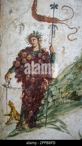 Detail einer römischen Freske aus Pompeji, die Bacchus zeigt, gott des Weins und der Fruchtbarkeit, mit einem Haufen Trauben bedeckt und Wein für seinen Tierpanther gießt Stockfoto