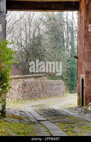 Gepflasterter Steinpfad zwischen Gebäuden, der in den Wald führt Stockfoto