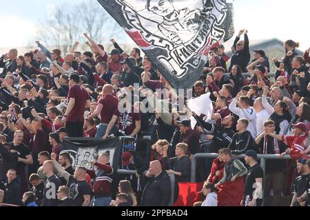 Berlin, Deutschland. 23. März 2023. Berlin, Deutschland, 23. April 2023. BFC Dynamo Fans während des Spiels zwischen BFC Dynamo und FC Rot-Weiss Erfurt, Regionalliga Nordost, Runde 29. Kredit: Fabideciria/Alamy Live News Stockfoto