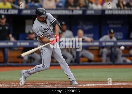 St. Petersburg, Florida, USA; Chicago White Sox ernannte den Hitter Eloy Jimenez (74) bei einem MLB-Spiel gegen die Tampa Bay Rays am Samstag, April Stockfoto