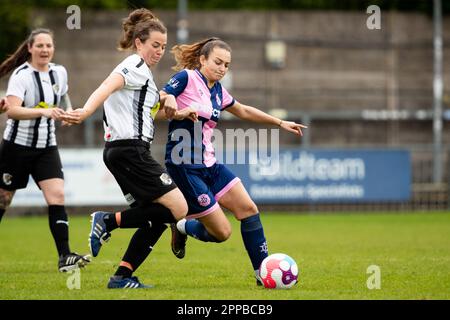 London, Großbritannien. 23. April 2023. London, England, 23. 2023. April:x Action während des London and South East Regional Women Premier League Spiels zwischen Dulwich Hamlet und Dartford im Champion Hill in London, England. (Liam Asman/SPP) Kredit: SPP Sport Press Photo. Alamy Live News Stockfoto