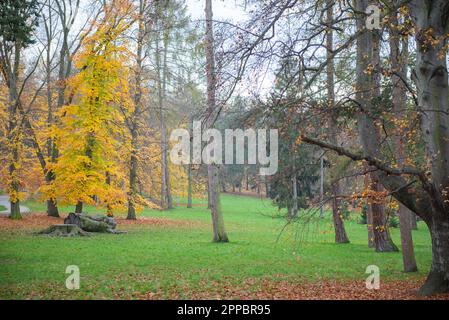 Schöner und malerischer Rasen im Herbst in Prag Stockfoto