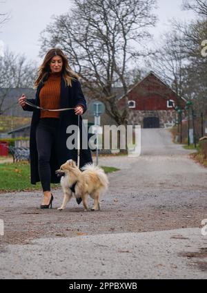 Eine Frau, die mit einem Hund auf einem Fußweg im Park spaziert Stockfoto