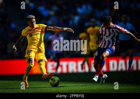 Bercelona, Spanien. 23. April 2023. Raphinha (FC Barcelona) bei einem Spiel in La Liga Santander zwischen dem FC Barcelona und Atletico de Madrid am 23. April 2023 im Spotify Camp Nou in Barcelona, Spanien. (Foto/Felipe Mondino) Kredit: Live Media Publishing Group/Alamy Live News Stockfoto