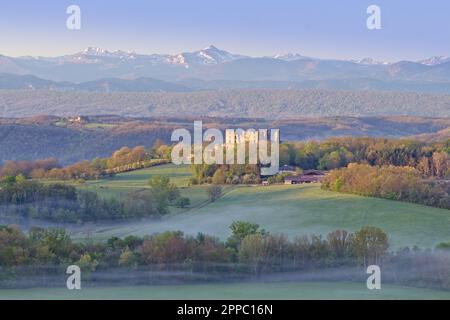 Lagarde Areige France 04.23.23 Spring Time Panorama. Der frühmorgendliche Nebel zieht über die grüne Wiese, die von Reihen von Bäumen gesäumt ist. Burgruine, Schneekappengipfel Stockfoto