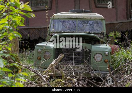 Safari. Der Jeep steckt im Dschungel fest. Verlassener Jeep. Stockfoto