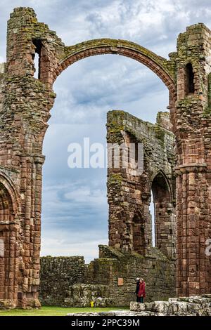 Ruine des Bogens bei den Ruinen von Lindisfarne Priory, Holy Island of Lindisfarne, Northumberland, England, Großbritannien Stockfoto