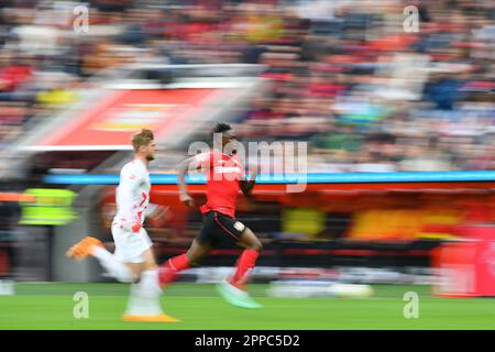 LEVERKUSEN, DEUTSCHLAND - 23.04.23: Das Bundesliga-Spiel FC Bayer 04 Leverkusen gegen Red Bull Leipzig in der BayArena Stockfoto