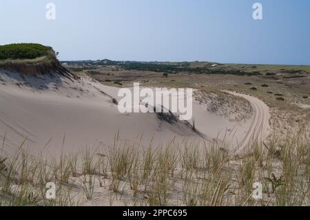 Erosionsbekämpfung an Sanddünen. Stockfoto