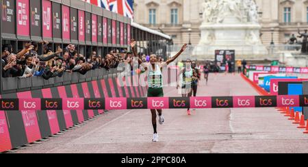 London, Großbritannien. 23. April 2023. Sifan Hassan aus den Niederlanden gewinnt am Samstag, den 22. 2023. Juli, beim TCS London Marathon in London, England das Eliterennen der Frauen. Foto: Gary Mitchell/Alamy Live News Stockfoto