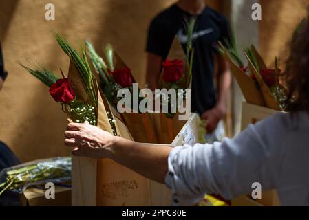 Barcelona, Spanien. 23. April 2023. Nahaufnahme der Hand einer Frau, die während des traditionellen katalanischen Festes am St. George's Day rote Rosen kauft. An diesem Tag, bekannt als „St. George's Day“ (Diada de Sant Jordi auf Katalanisch), werden Liebe und Literatur durch den Verkauf von Büchern und roten Rosen im ganzen Land gefeiert. Seit dem Jahr 1997 lautet der offizielle Slogan dieses Tages „Eine Rose für die Liebe, und ein Buch für immer“. Kredit: SOPA Images Limited/Alamy Live News Stockfoto