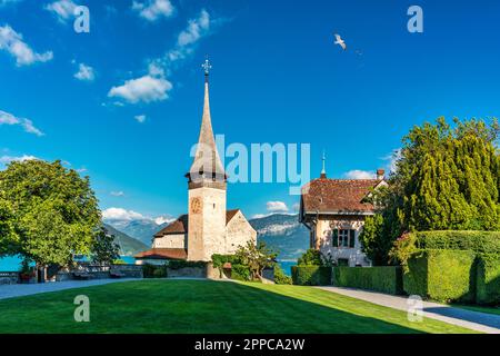 Blick auf die Spiez-Kirche und das Schloss am Thunersee im Schweizer Kanton Bern bei Sonnenuntergang, Spiez, Schweiz. Schloss Spiez am Thunersee im Stockfoto