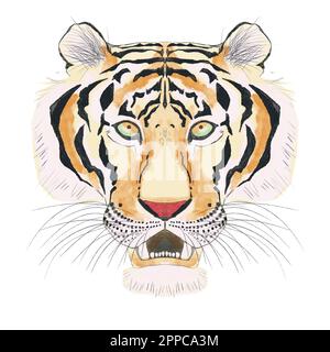 Digitale Darstellung eines Tigerkopfes auf weißem Hintergrund. Aquarelle Konturen. Chinesische Horoskop-Tiere Stockfoto