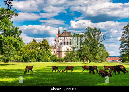 Schloss Blatna bei Strakonice, Südböhmen, Tschechische Republik. Luftaufnahme des mittelalterlichen Wasserschlosses Blatna, umgeben von Parks und Seen, Blatna, Süden Stockfoto