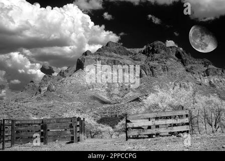 Mond- und Frühlingslandschaft in der Wüste von Arizona, USA Stockfoto