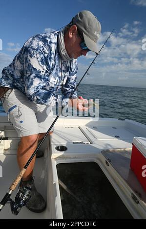 Angler können Zackenbarsche in den flachen Wasserebenen rund um die Felshaufen am Crystal River in Citrus County fangen! Stockfoto