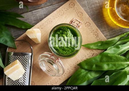 Ein Glas grüne Pesto-Sauce aus frischen Knoblauchblättern im Frühling Stockfoto