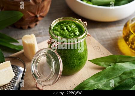 Grünes Pesto aus frischen Ramson- oder wilden Knoblauchblättern Stockfoto