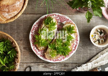 Frische Goutweed-Blätter auf zwei Scheiben Brot im Frühling, Draufsicht Stockfoto