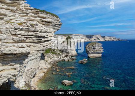 Die berühmten zerklüfteten Kreidefelsen und die türkisblaue Küste am Meer in Bonifacio, Korsika, Frankreich Stockfoto