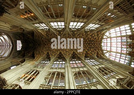 Gewölbtes Dach und zarte Steinarbeiten der Gloucester Cathedral, Gloucestershire, Großbritannien Stockfoto