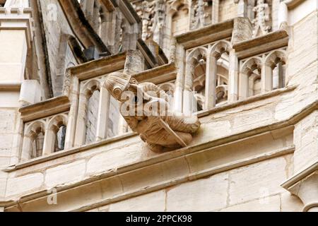 Moderner Gargoyle oder grotesk an der Gloucester Cathedral. Teil eines Projekts für die Gloucester Kathedrale, um die lokale Geschichte darzustellen. Stockfoto