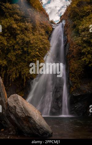 Ein vertikales Bild eines kleinen Wasserfalls, der in einen Fluss fällt, umgeben von üppig grünen Bäumen Stockfoto